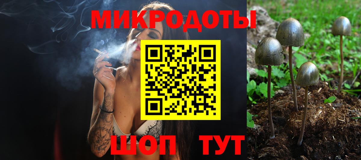 Сибай  Галлюциногенные грибы Psilocybine cubensis  Вход с VPN  наркотики  Псилоцибиновые грибы мухоморы 