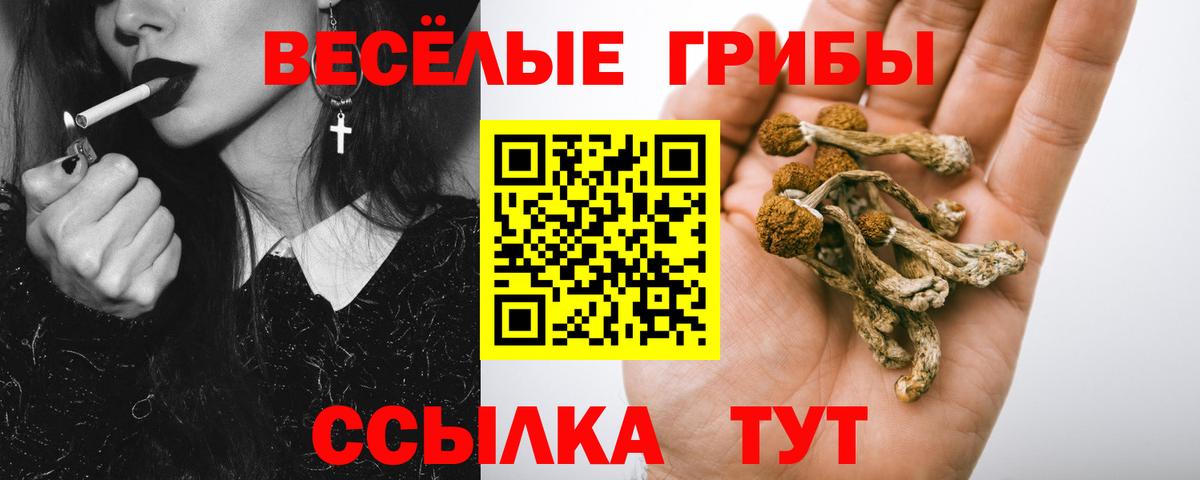 Галлюциногенные грибы GOLDEN TEACHER Сибай